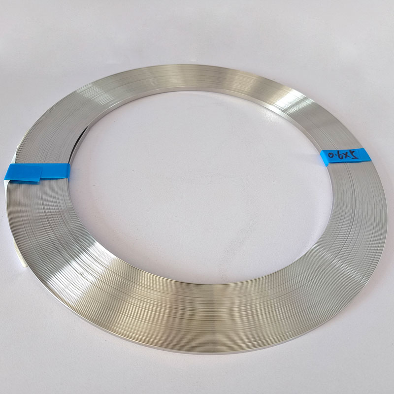 What are the advantages of polished stainless steel strips